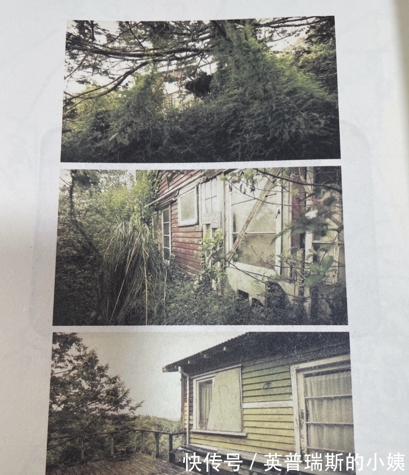 精神失常!28年后再揭底:当代大诗人顾城,37岁杀妻前,是否已精神失常?