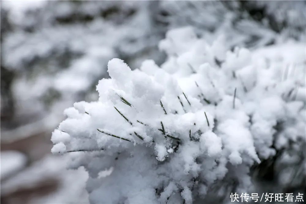 西安翻译学院：银装素裹雪景美如画