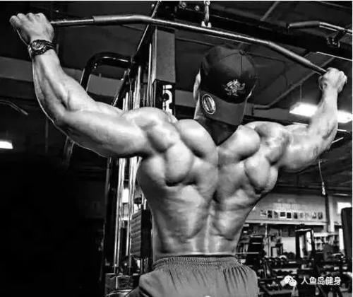 下拉|握法不同的高位下拉,动作特点不同,对肌肉的重点刺激也不同!