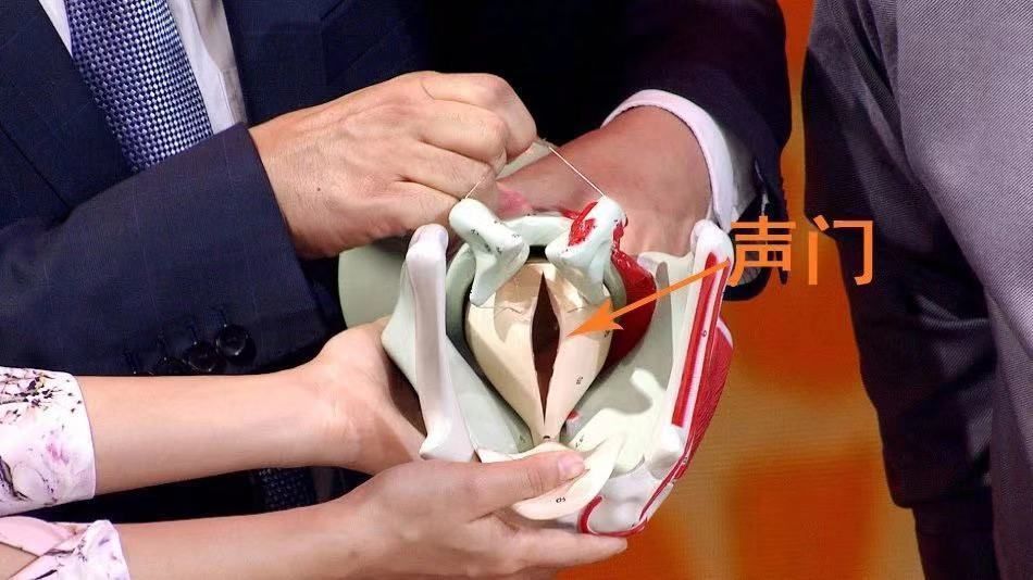 肿瘤|喉癌来临,身体会有几种“危险信号”!这几个高危因素,要注意