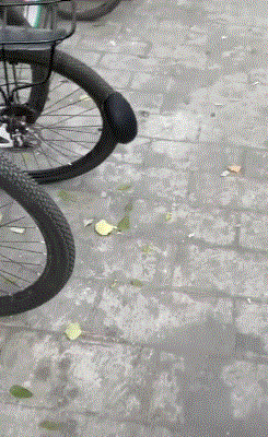 |搞笑GIF:这哥们的气质,我一辈子都不想学来