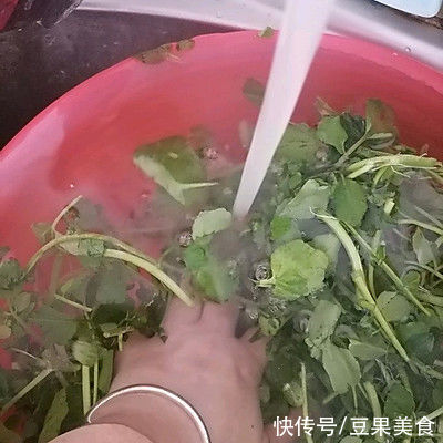 做法|全网最详细的西洋菜猪肺汤的做法，手残党都一次成功