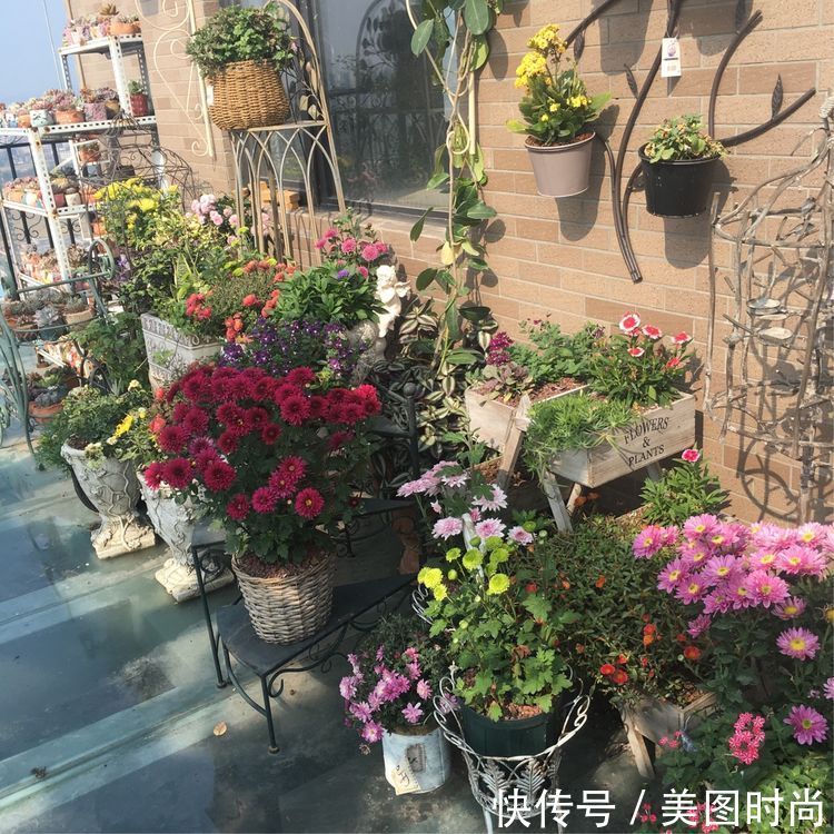 花草|历时一年，在31楼打造300㎡“屋顶花园”，如今美成了仙境