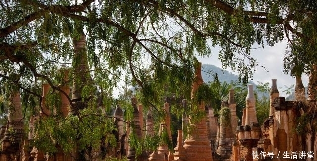 瑞茵汀佛寺|亚洲后的是一片水秘境，包含上的古老组