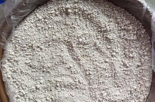 这种地下果实,长得像冬笋,煮熟后味道似红薯,如今不多见了