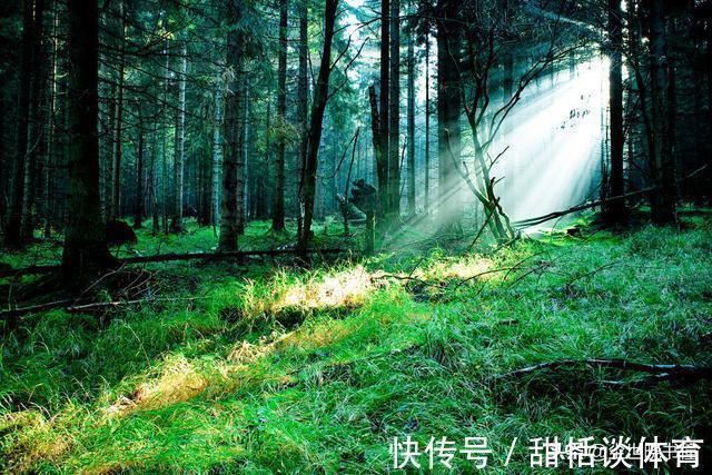 归隐$一首很有哲理的宋诗,每一句都有大智慧,告诉了世人很多的大道理