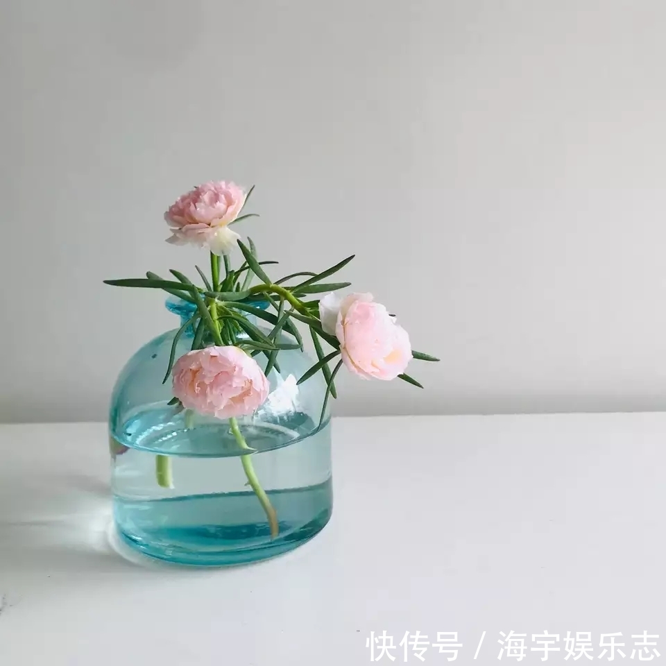 我有一个花园小院，秋季月季开花尚好，草花开爆盆