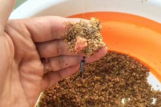 不用打窝也能狂拉不断，老钓友用这方法，一天钓几十斤！