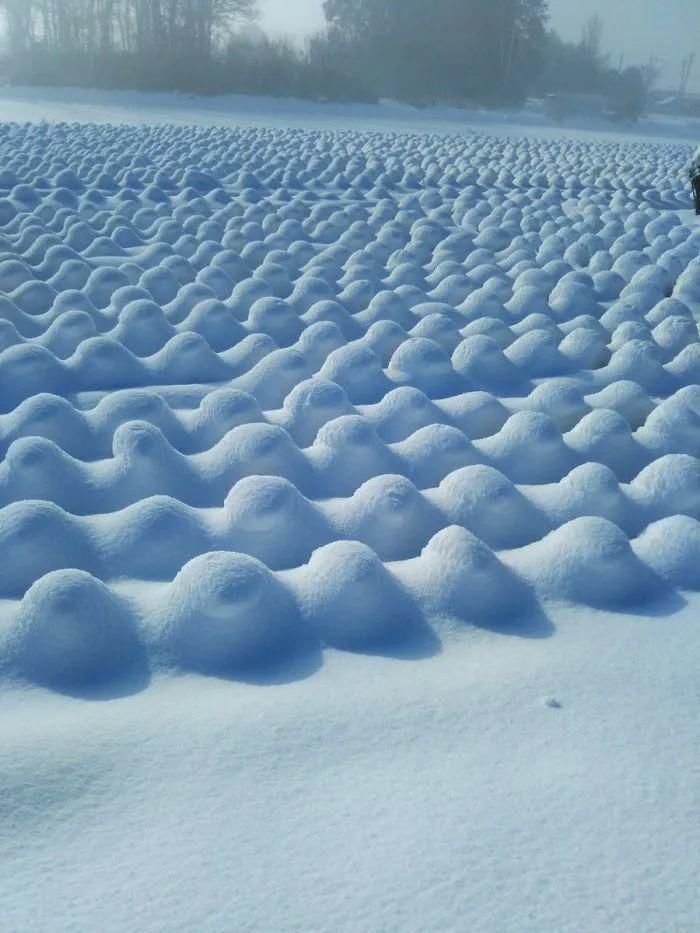 下雪后形成的奇特景观，太有意思了！