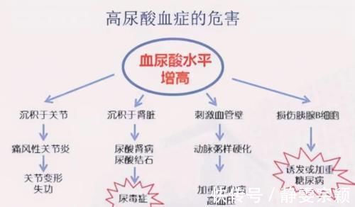 痛风性肾病|尿酸高影响肾功能吗?医生:痛风患者请做好十件事,保肾降尿酸