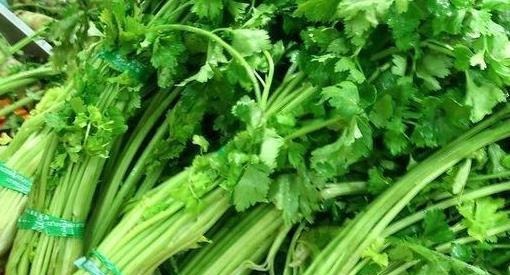 芹菜|吃芹菜为什么不吃叶?营养师讲出真相,后悔现在才知道!