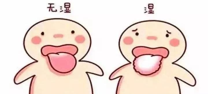 赤小豆|松树根上有一物,被李时珍誉为“仙家上物”,4吃5不吃,值得注意