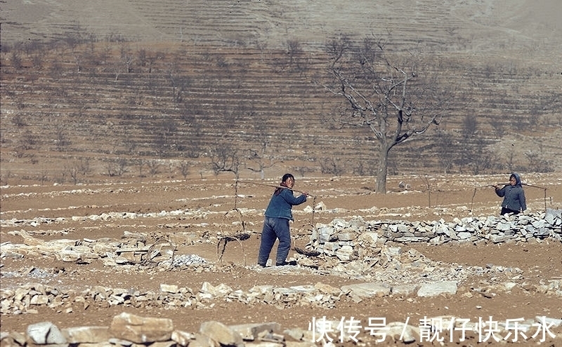 原生态！人世间：伤痕文学走向末路，周家三兄妹故事代表大多数？知青镀金