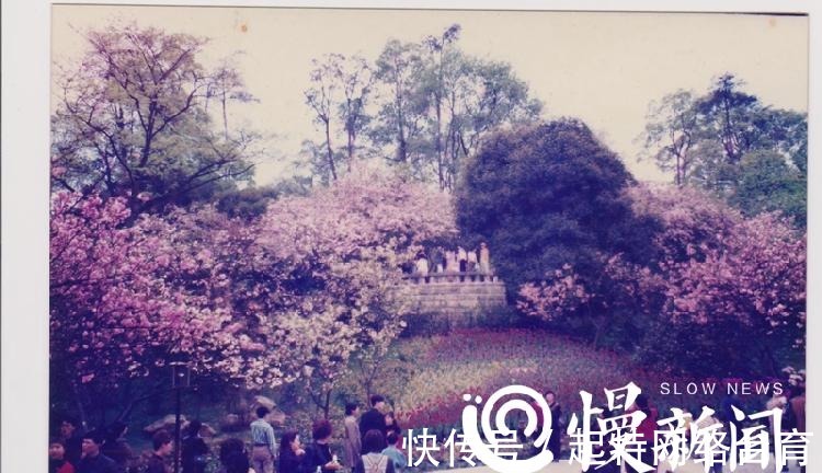 国民政府|老重庆南山植物园60岁了！为何这里面还有很多“大使馆”？