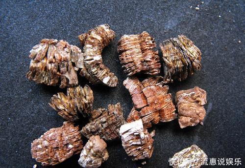 这种养花好料知道的人很少,土里加一点透气又保温,扦插时也有用