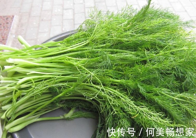 蔬菜|4月宁可不吃肉,也要多吃6种蔬菜,口感鲜嫩营养高,便宜又应季