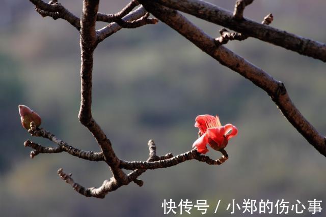 黄金万两|富贵在天, 生死由命(拼了)