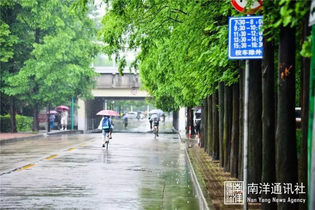 我“雨”最美校园，一起云赏沪上46所高校雨中即景