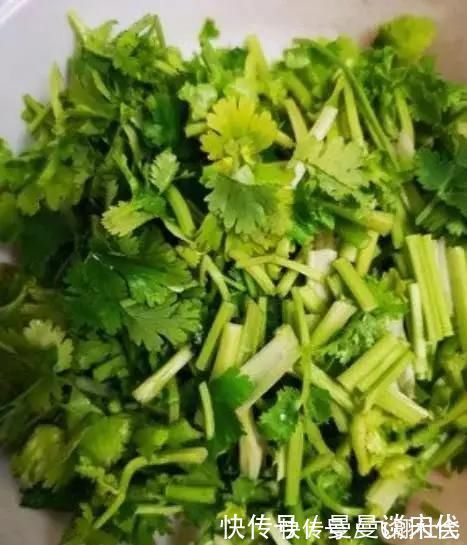 大厨|储存香菜,别再放冰箱了!20年大厨教你,放再久都不坏,翠绿新鲜!