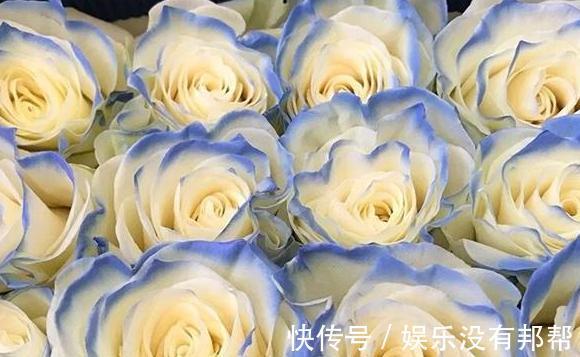 你粉|比较受欢迎的10款进口玫瑰花,一直都供不应求,你粉了吗?