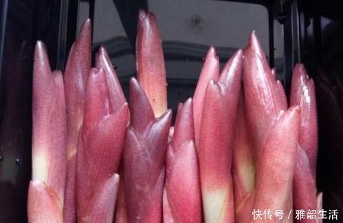 常吃|身体好的女人都会吃，常吃以下食物，滋润肌肤，改善睡眠，气色好