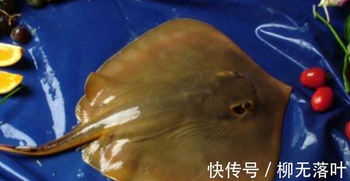 黄海|这7种海鱼,目前无法养殖,都是野生的,营养又好吃,价格还不贵!