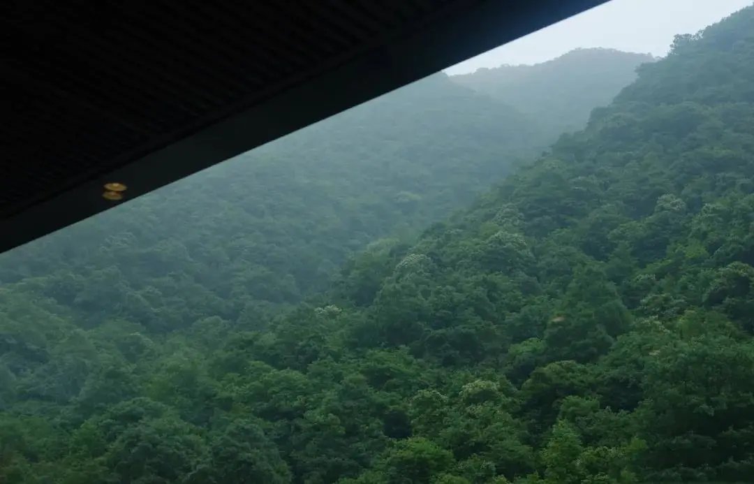 可行道|不雕不琢，越简单越平和