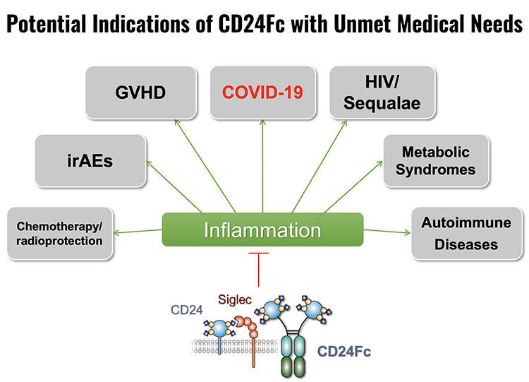 OncoImmune|默克布局COVID-19新型免疫疗法，完成对OncoImmune的收购