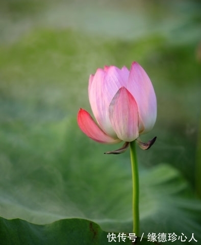 财旺人旺运气旺|7月上旬，福星高照，4属相开门遇喜，财旺人旺运气旺