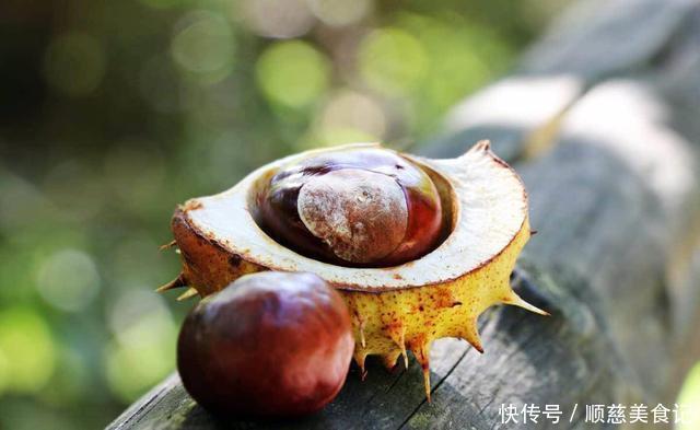 个体 为什么把种子送上太空再下来种,种出来的东西比较大?