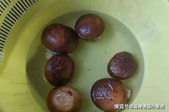 格瑞美厨|秋天养生多吃蒸菜,这个蒸菜最简单,最鲜美,好吃到停不下来