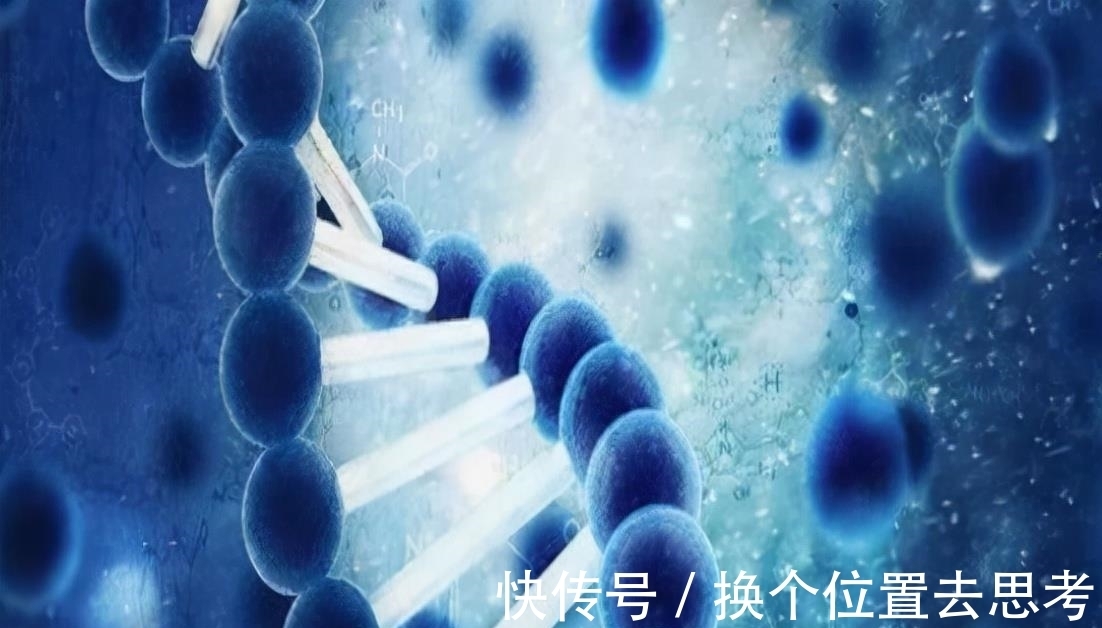 优质蛋白|更年期以及老年骨质疏松人群,该如何设计高钙饮食?今天告诉您