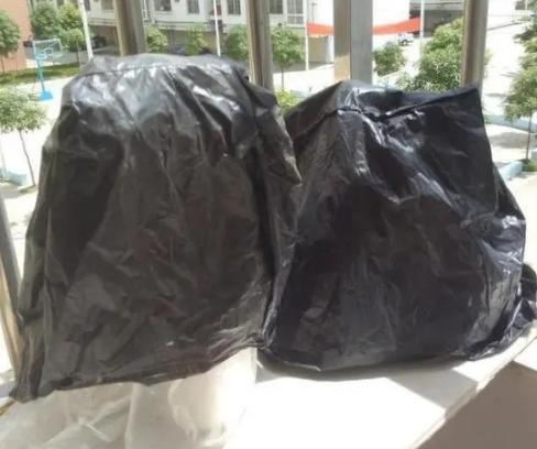 方便袋不要扔,套到盆栽上,可让植物叶子绿得冒油、多开花