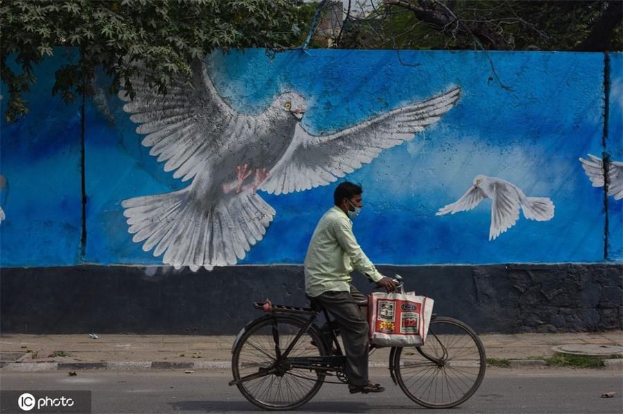 艺术|印度新德里壁画艺术丰富民众生活