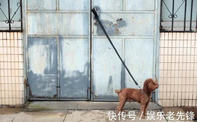 半岛|半岛聚焦丨夏日热练!弘诚体育场日均迎客七千,有人专门开车来运动