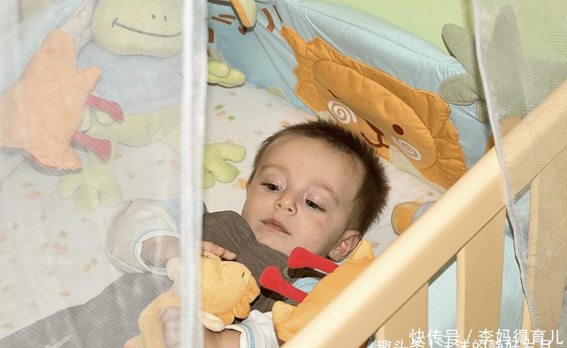 蚊子|嗡嗡嗡,你听你听,蚊子在狰狞的笑,它最喜欢小宝宝