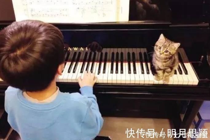 宝宝|孩子曾表现出的“天赋”,家长往往忽略了,快来对照你家娃是哪种