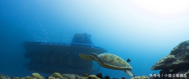 地球这么大,是否存在人类没有发现的地方?