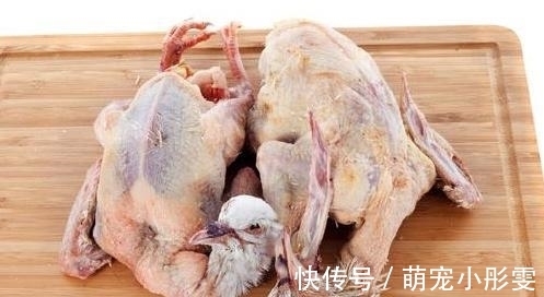 一鸽胜九鸡,鸽子汤怎样做才好喝?试试此做法,肉嫩汤鲜,太香了