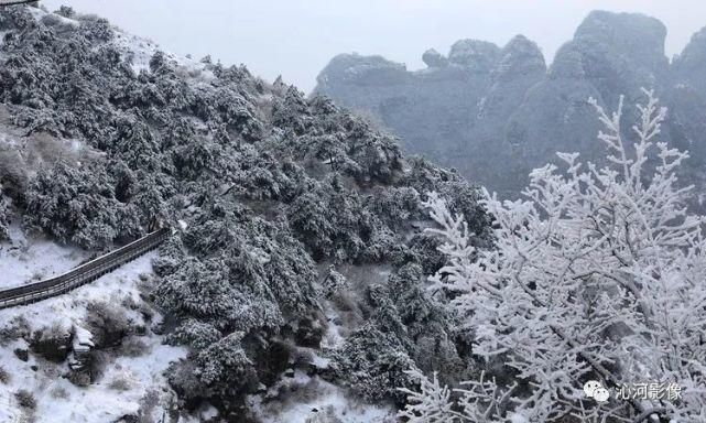 雪后王莽岭，美得不要不要的！