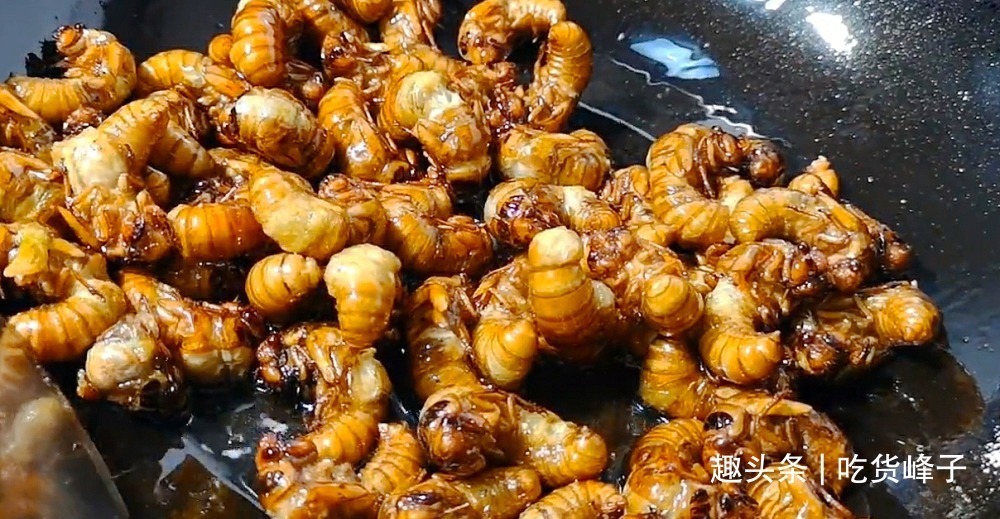 知了|地下蛰伏5年,知了能吃吗吃了对身体有何危害为了健康别再吃错