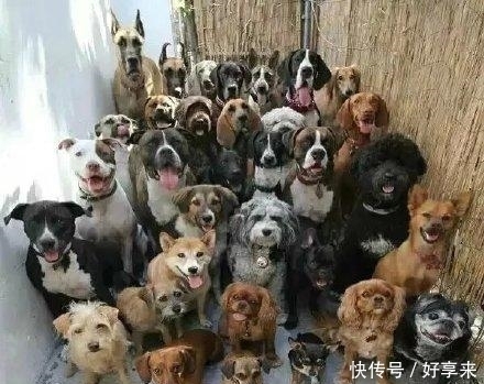 管用|大学的生存秘籍,七招让食堂阿姨多打点饭菜!招招管用