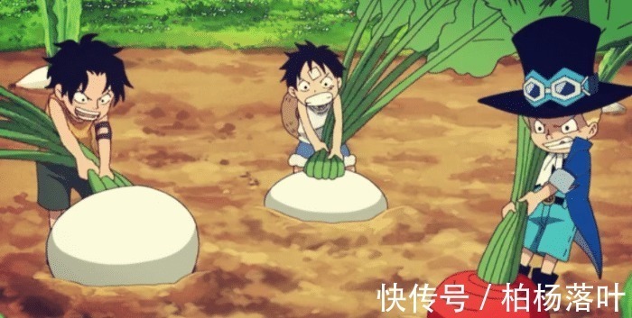 死讯|海贼王萨博死讯传遍世界,女帝处境危险,路飞要为老婆考虑了