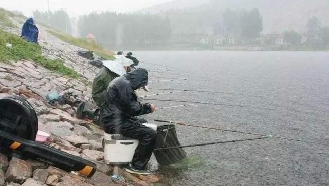 钓鱼鲫鱼都分布在哪里，有什么需要注意的地方吗