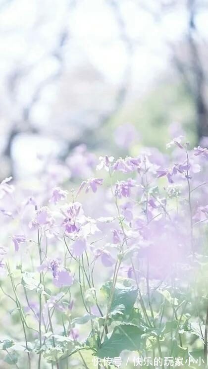 |开心一刻,十个幽默搞笑笑话