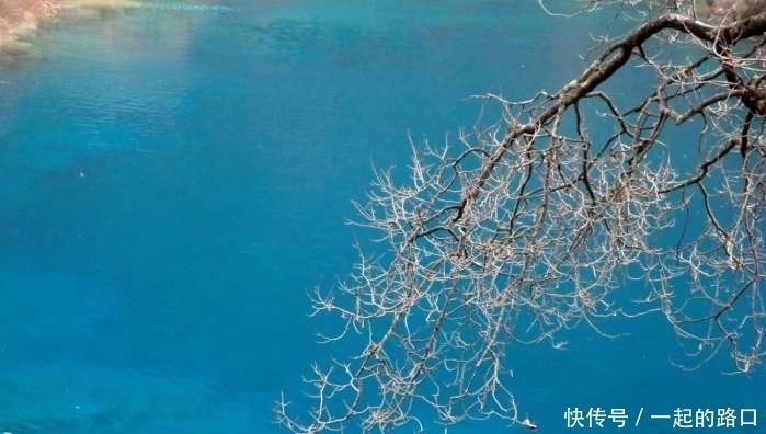 九寨沟火花海——这个绝美的海子, 我们将永远记得它的美丽