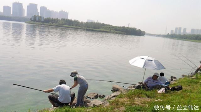 夏季|炎炎夏日应该怎么钓鱼老钓鱼人传授你三招,不收藏太亏了