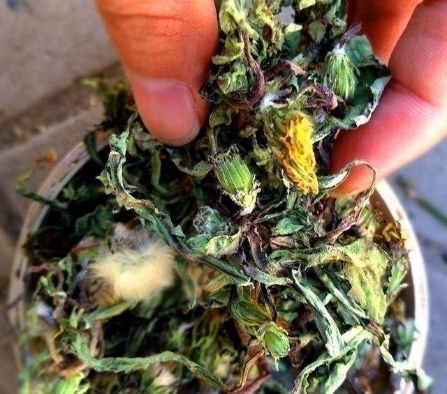 酸性体质|女人每天喝两口,不贫血、不发胖,卵巢会一天好过一天