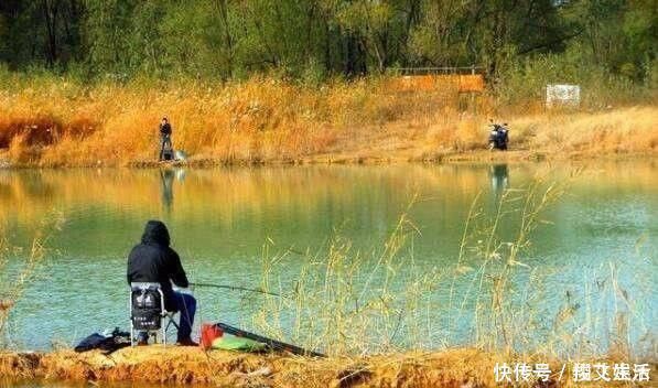 时间段|春钓时,每天这两个时间段钓鱼都是连竿,许多钓友竟然还在睡觉