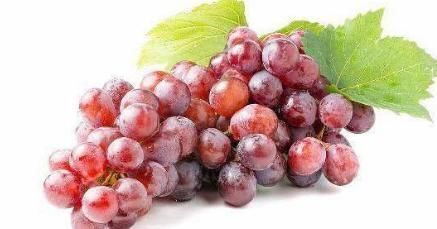 人体健康|胃不好的人,平时可以多吃此4种水果,养胃护胃!早知早受益